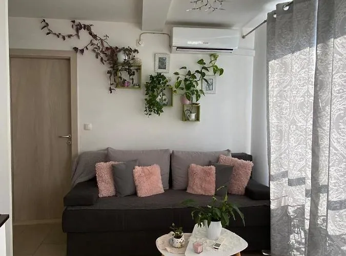 Apartment Anka Hvar