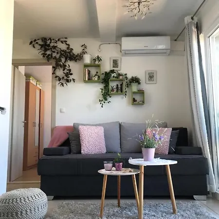Anka Hvar هفار